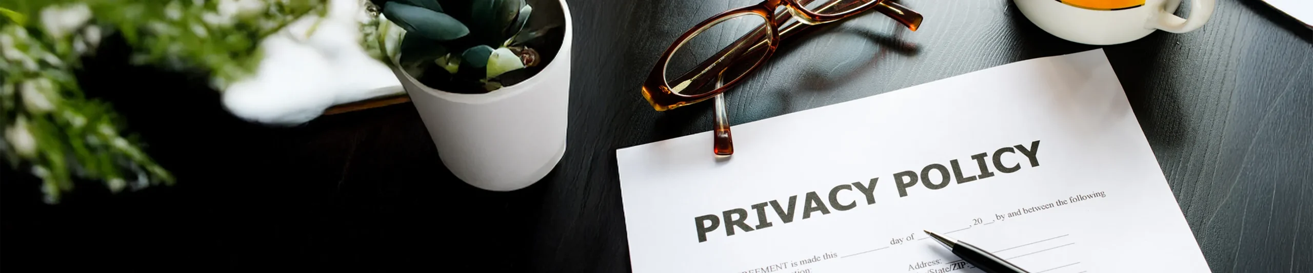privacy-policy
